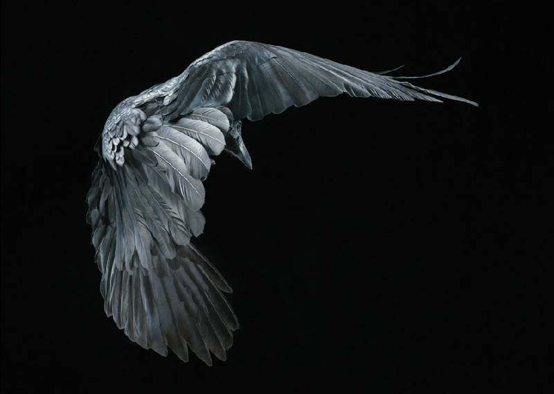 tim-flach_more-than-human_19