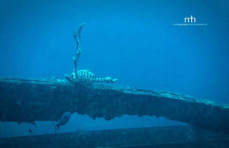 wrecked-underwater-31